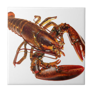 Lobster Kakelplatta