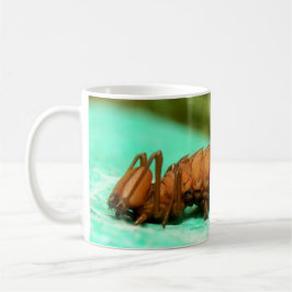 Lobster Moth Caterpelare Kryp Mugg