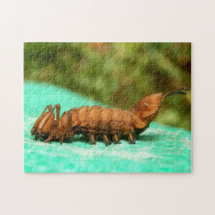Lobster Moth Caterpelare Photo Puzzle and Gift Box Pussel
