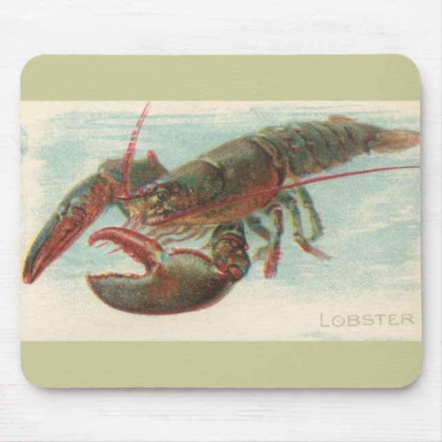 Lobster Musmatta (Framsidan)