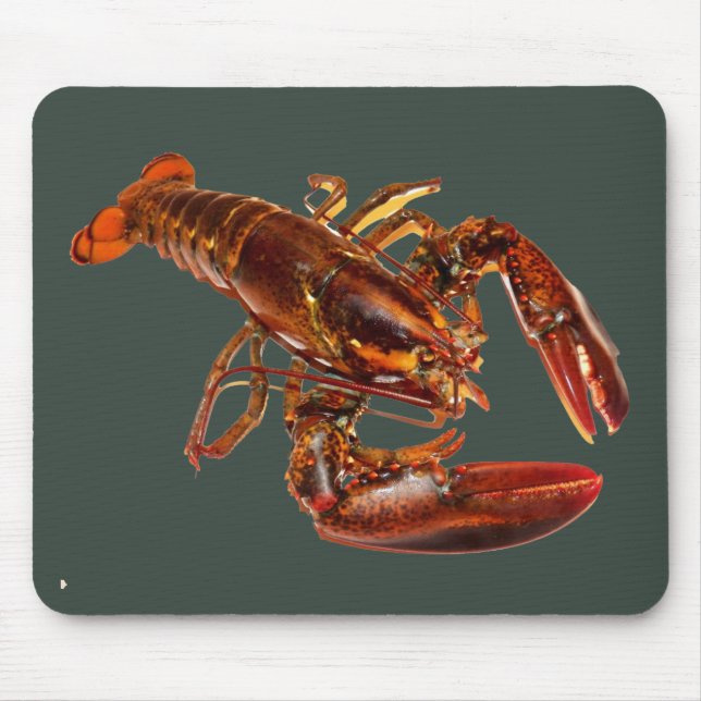 Lobster Musmatta (Framsidan)