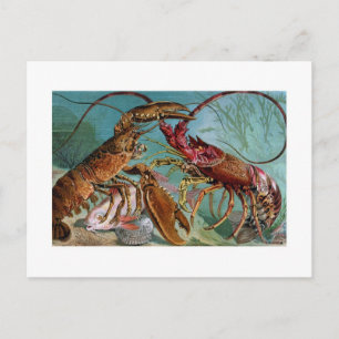 Lobster och Langoustine Vykort