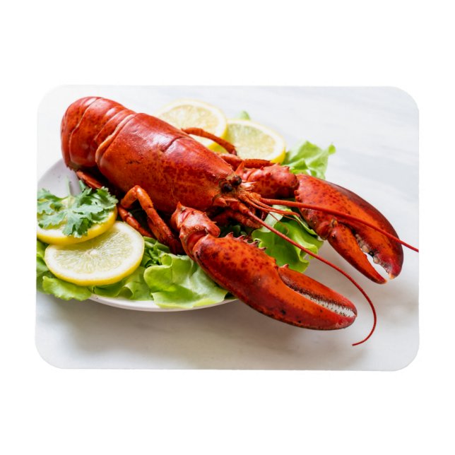 Lobster Photo Magnet (Horisontell)