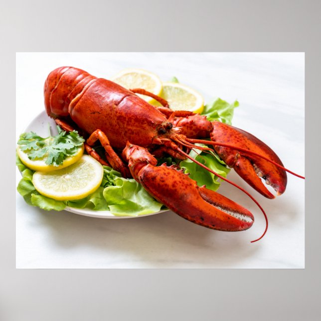Lobster Photo Poster (Framsidan)