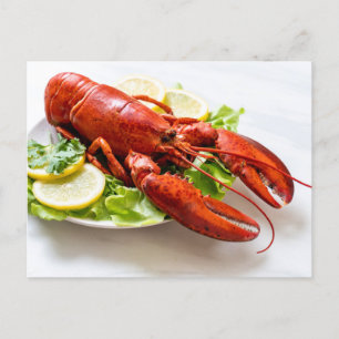 Lobster Photo Vykort