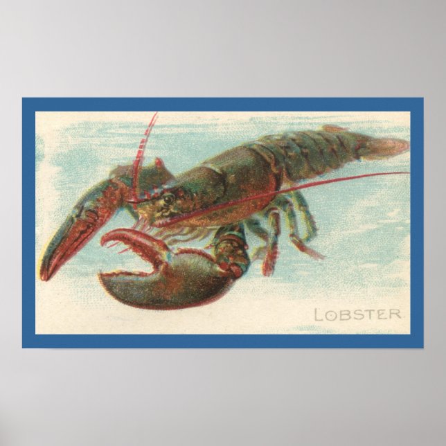 Lobster Poster (Framsidan)