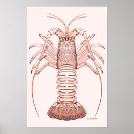 Lobster Poster ~ Sten Lobster