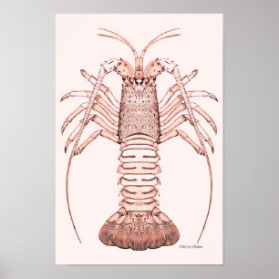 Lobster Poster ~ Sten Lobster