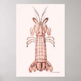Lobster Poster ~ Sten Lobster