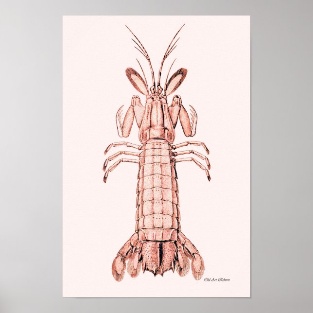 Lobster Poster ~ Sten Lobster (Framsidan)