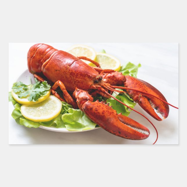 Lobster Rektangulärt Klistermärke (Framsida)