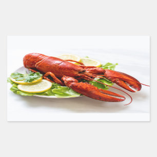 Lobster Rektangulärt Klistermärke