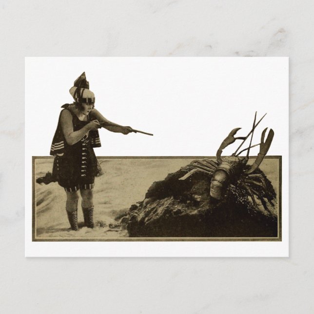 "Lobster Season" Vykort (Framsida)