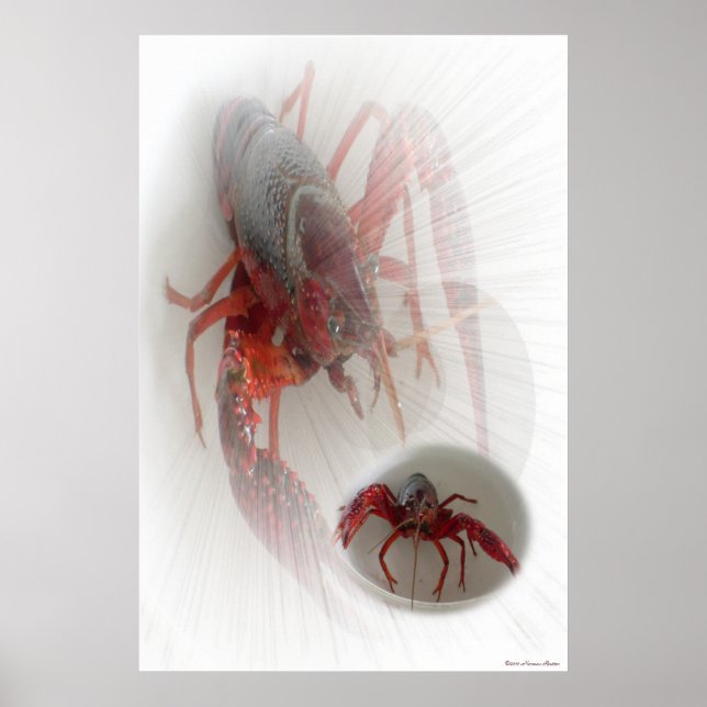 Lobster-utskrift Poster (Framsidan)
