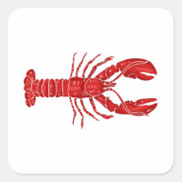 Lobster Vector