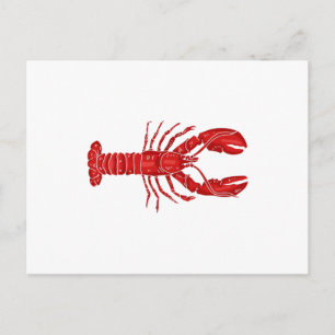 Lobster Vector Vykort