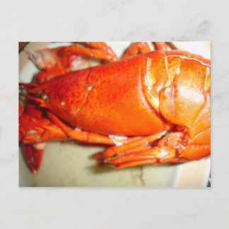 Lobster Vykort