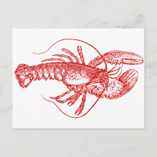Lobster Vykort
