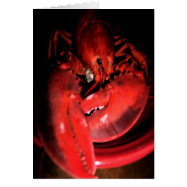 Lobsterfotografi Hälsningskort (Framsidan)