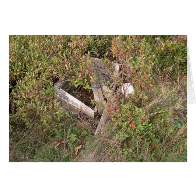 Lobsterman's box and bobber, Maine, USA Hälsningskort (Framsidan Horizontal)