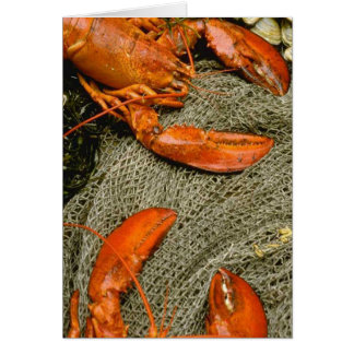 Lobsters Hälsningskort