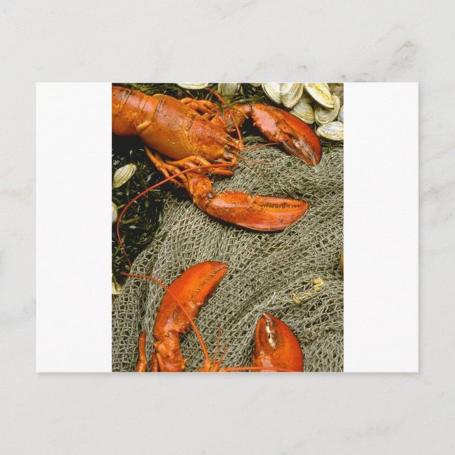 Lobsters Vykort (Framsida)