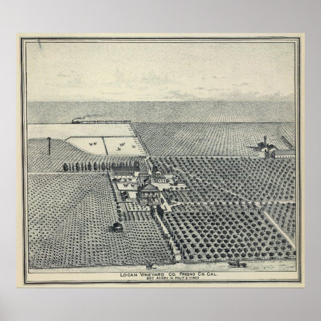 Locan Vineyard, Fresno Poster (Framsidan)