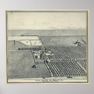 Locan vingård, Fresno Poster
