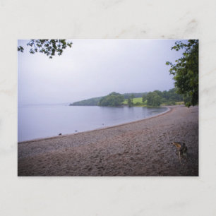 Loch Lomond Postcard Vykort