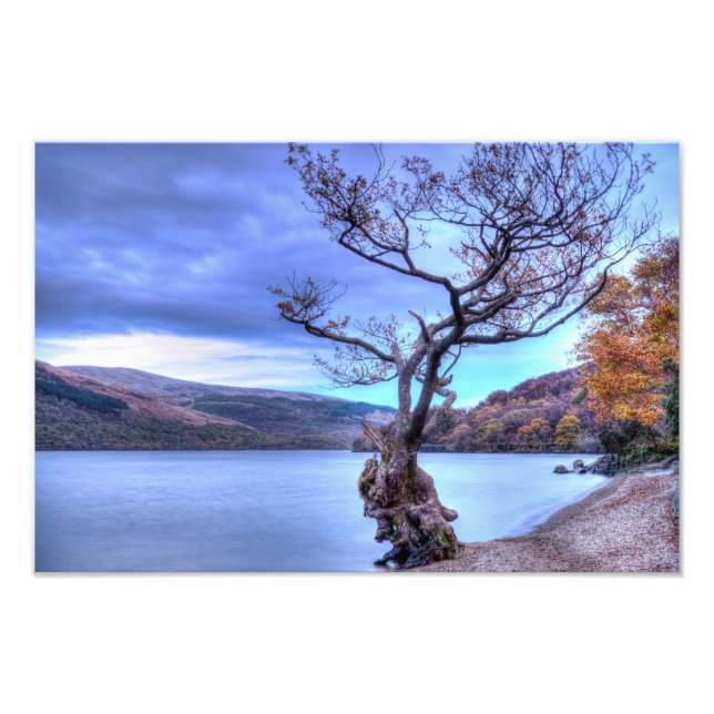 Loch Lomond, Scotland Photo print Fototryck (Framsidan)