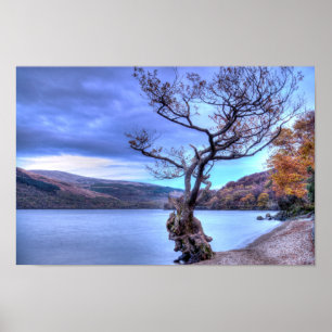 Loch Lomond, Skottland Poster