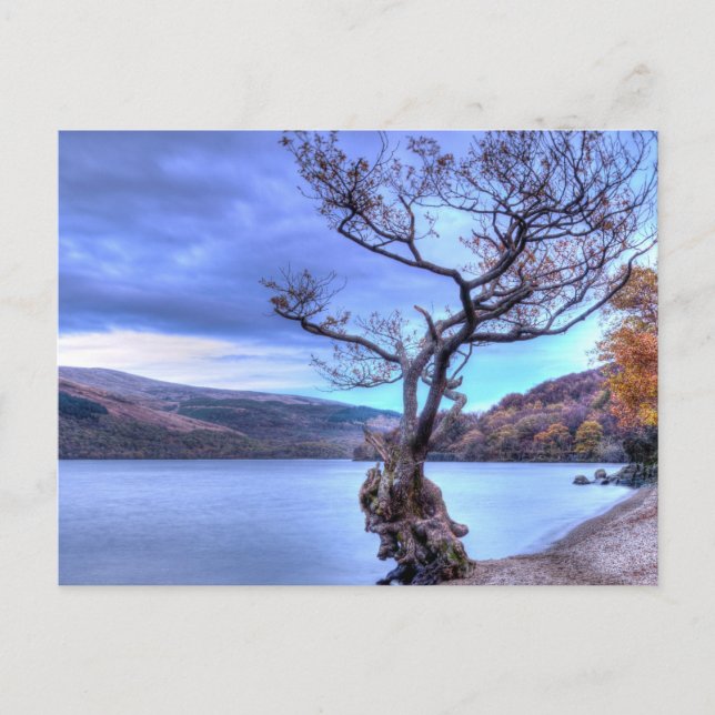 Loch Lomond, Skottland vykort (Framsida)