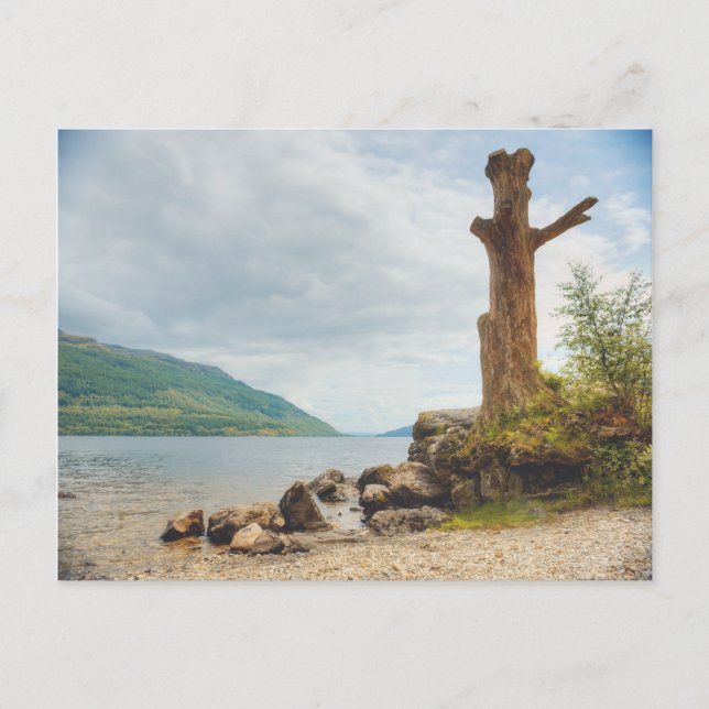 Loch Lomond, Skottland Vykort (Framsida)