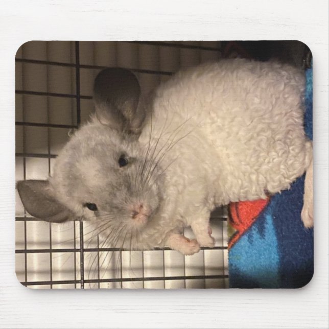 Locken "Curly" Chinchilla Mousepad Musmatta (Framsidan)