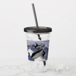 Lockheed SR-71B Blackbird Take Away Mugg