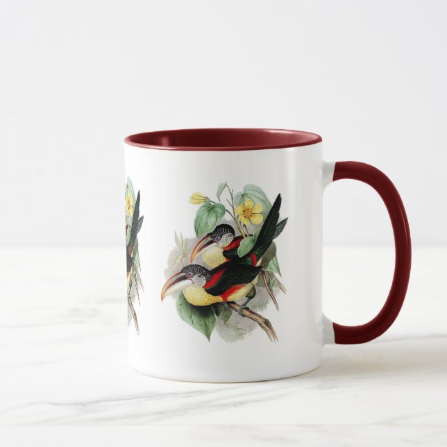 Lockig-krönade Aracari Mugg (Höger)