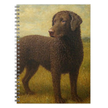 Lockig Retriever
