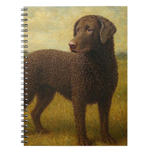 Lockig Retriever Anteckningsbok (Framsidan)
