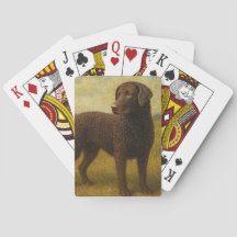 Lockig Retriever