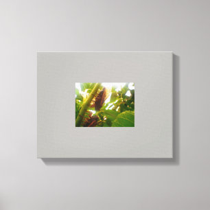 Locust Land Canvas Bild