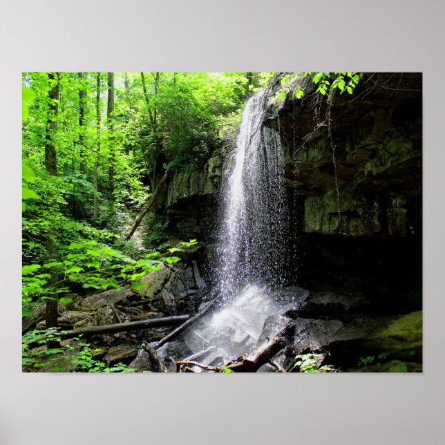 Lodge Falls, Alabama Poster (Framsidan)