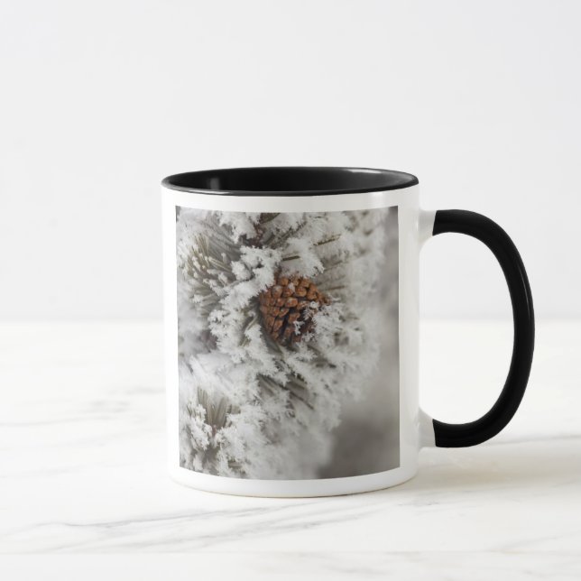 Lodgepole-tallkotten vintertid i Yellowstone Mugg (Höger)