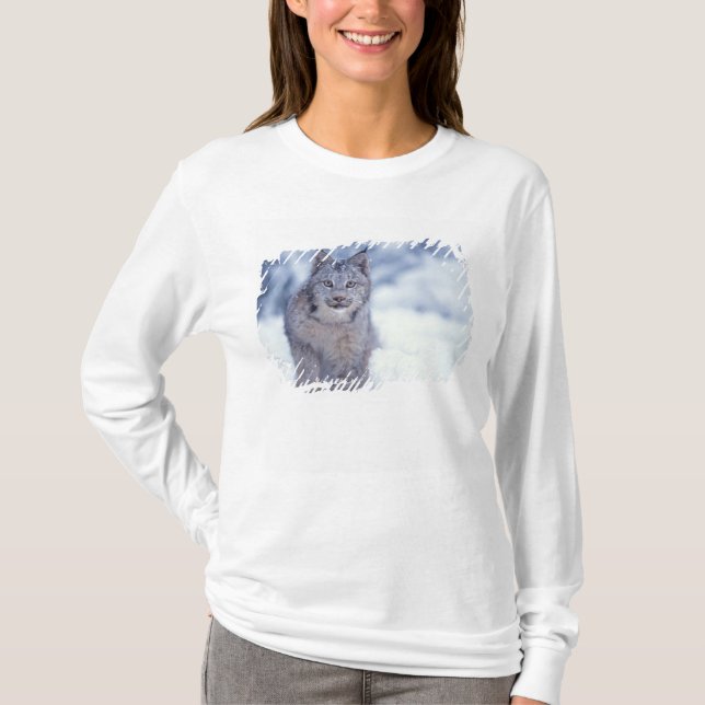 Lodjur i snö i förbergen tee shirt (Framsida)