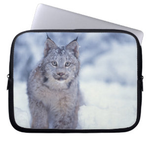 Lodjur i snön i förbergen laptop fodral