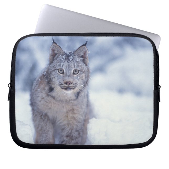 Lodjur i snön i förbergen laptop fodral (Framsidan)