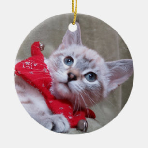 Lodjuret pekar den Siamese prydnaden Julgransprydnad Keramik