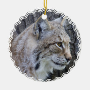 Lodjurprydnad Julgransprydnad Keramik
