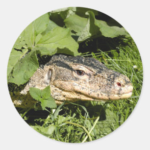 Lödödla vatten runt klistermärke