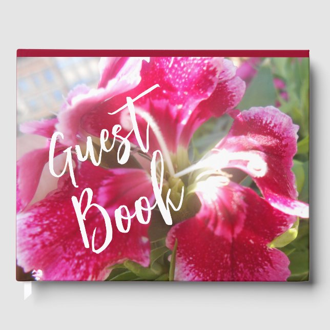 Lodovica Gästböcker (Framsida)