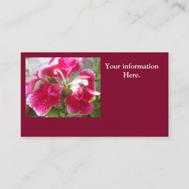 Lodovica Visitkort (Framsida)